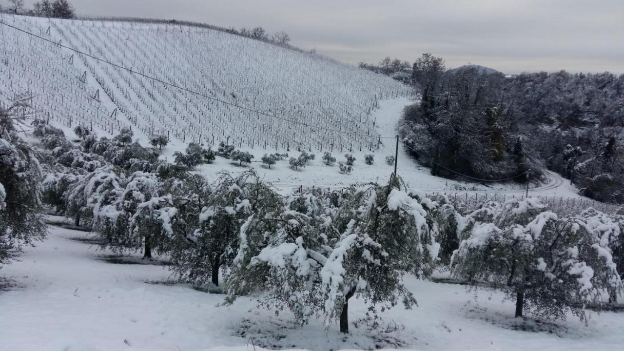 Podere Riosto Cantina&Agriturismo Pianoro Dış mekan fotoğraf