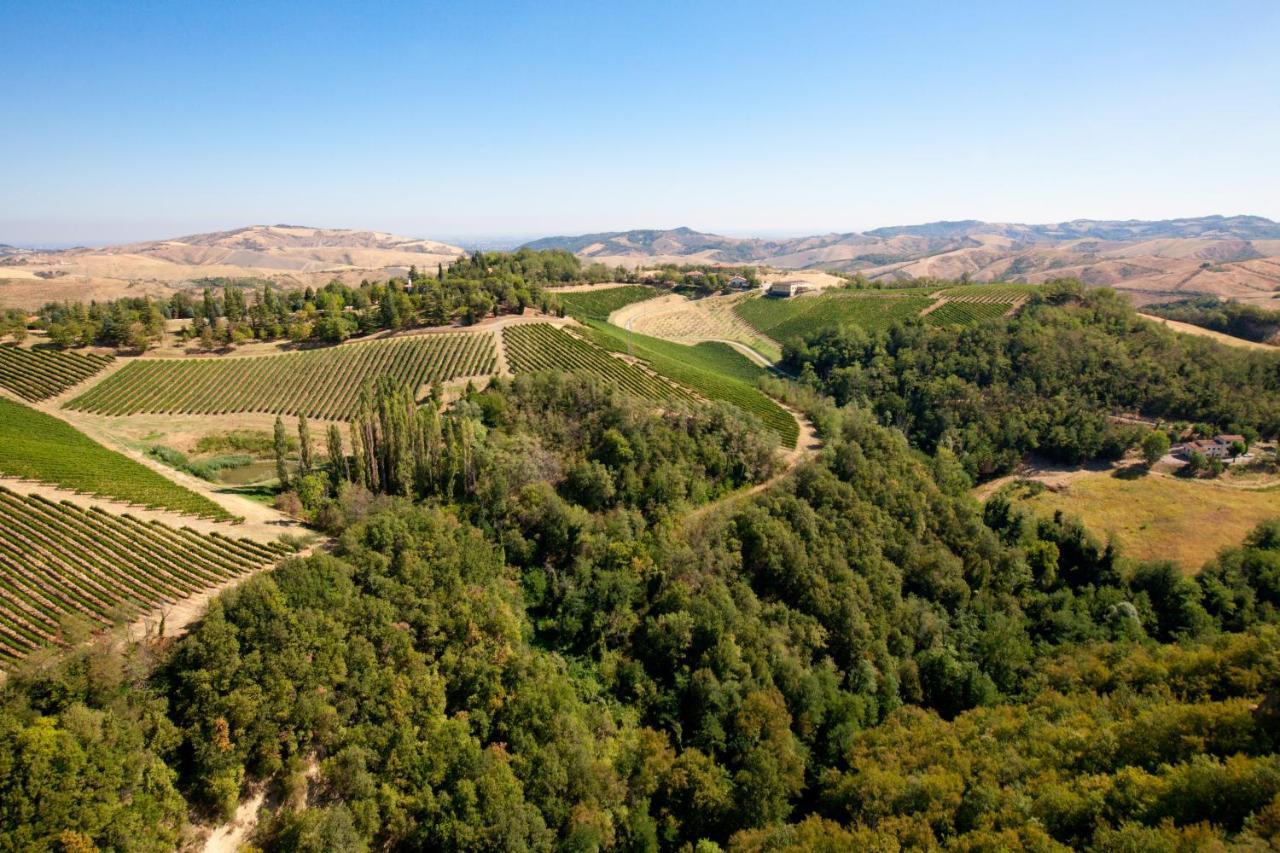 Podere Riosto Cantina&Agriturismo Pianoro Dış mekan fotoğraf