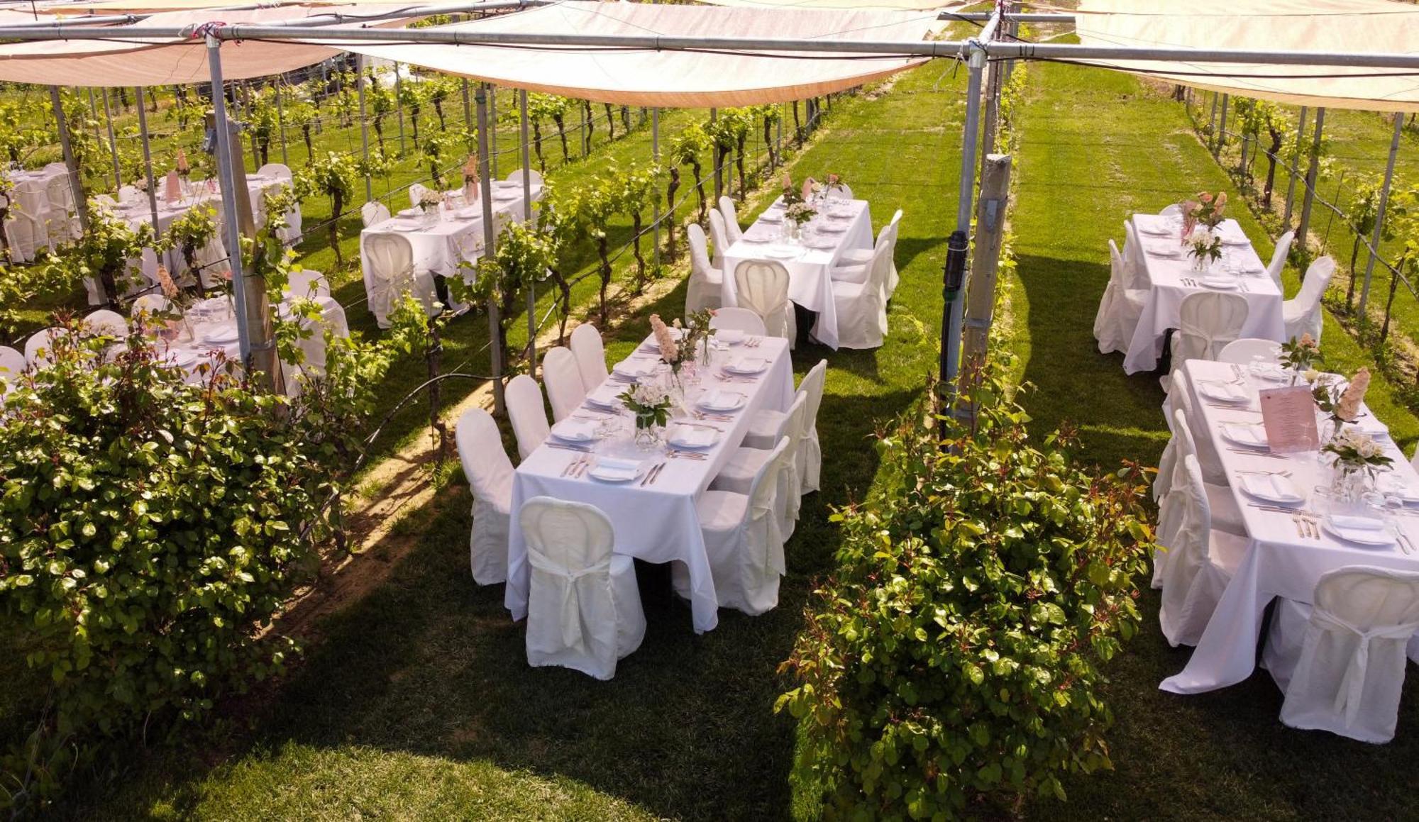 Podere Riosto Cantina&Agriturismo Pianoro Dış mekan fotoğraf