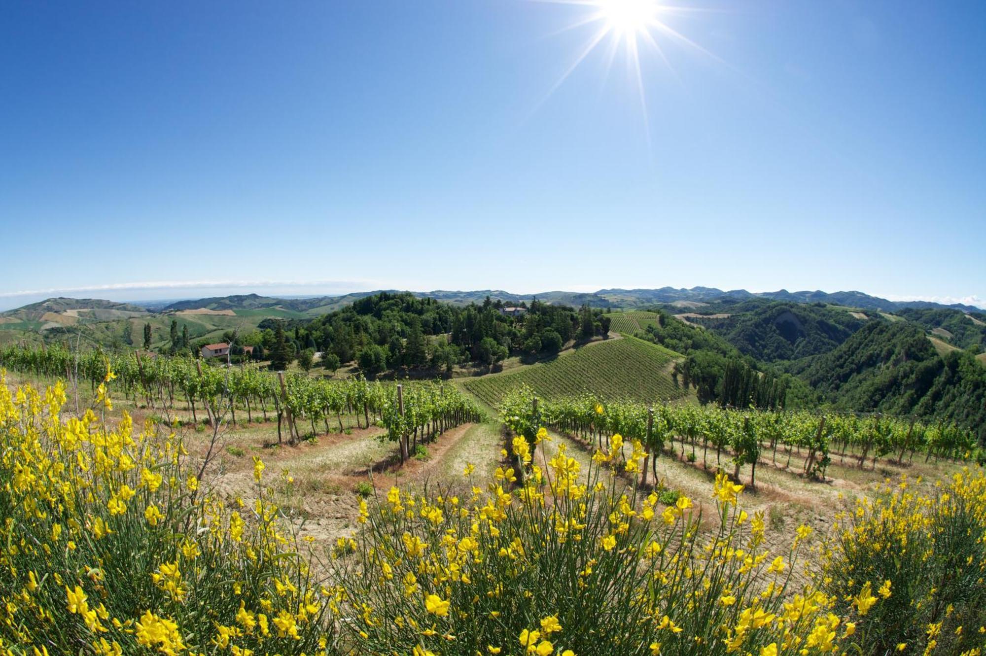 Podere Riosto Cantina&Agriturismo Pianoro Dış mekan fotoğraf