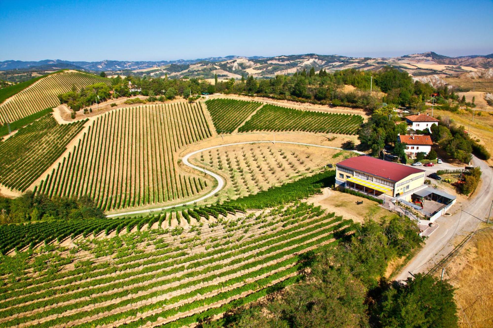 Podere Riosto Cantina&Agriturismo Pianoro Dış mekan fotoğraf